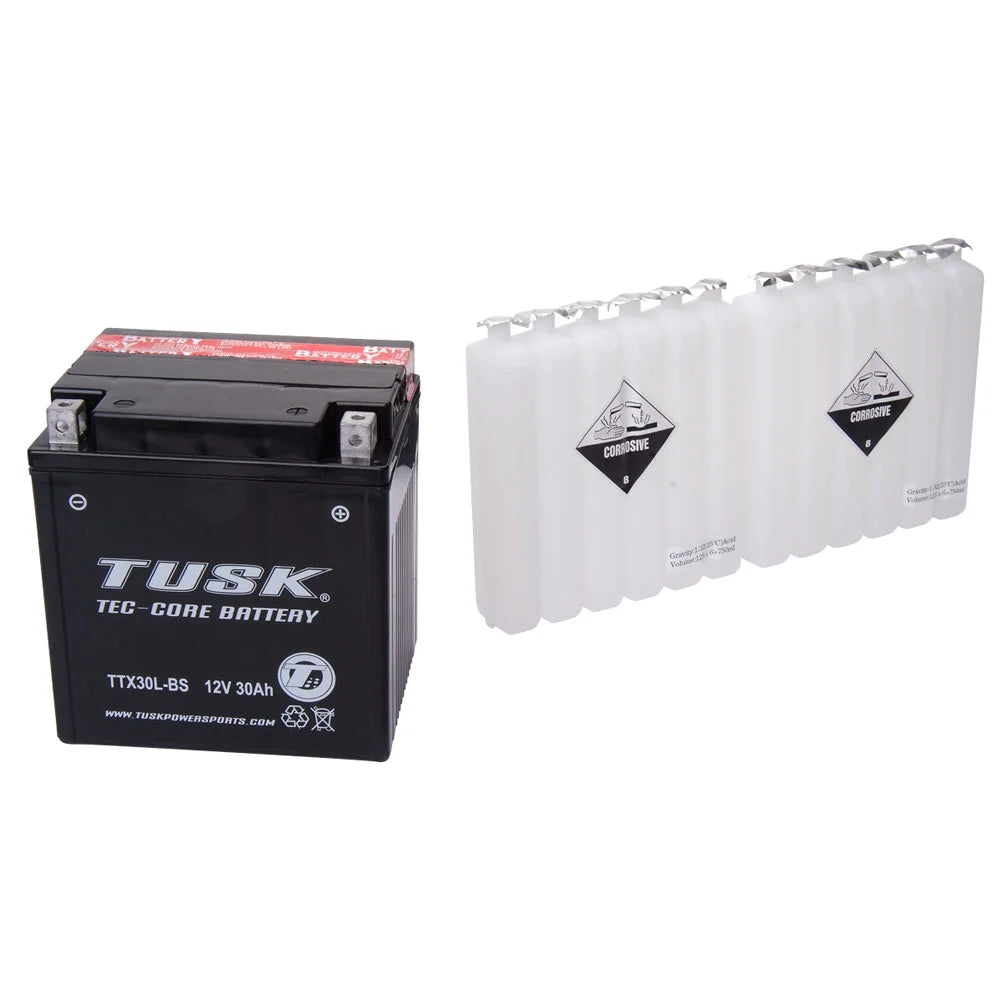 TTX30LBS Maintenance-Free Battery B3996