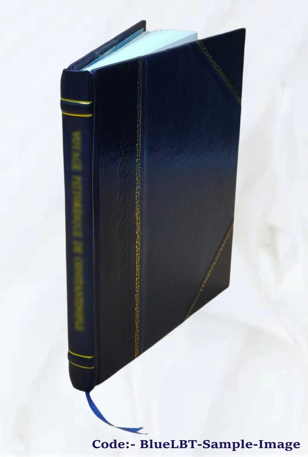 Leather Bound Book I25793