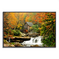 Framed Photograph Print Z782797