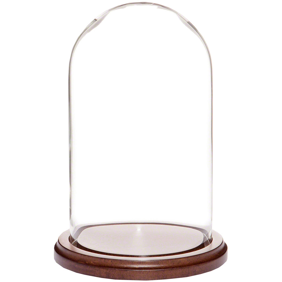 Glass Display Dome Cloche with Walnut MDF Base T344912
