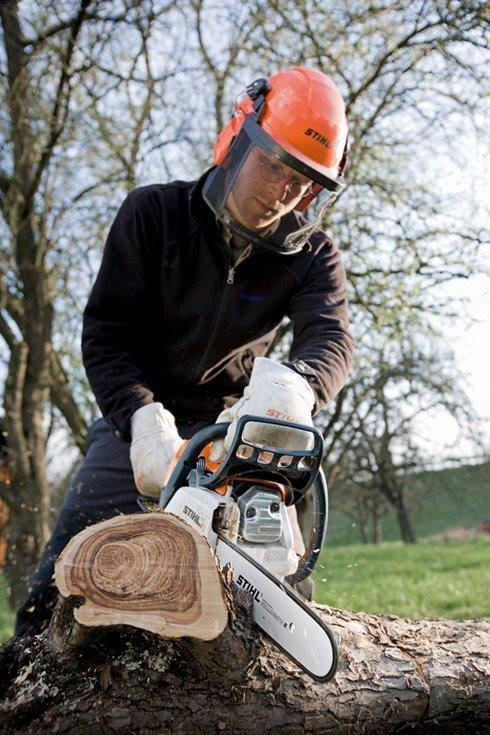 Chainsaw Q186492