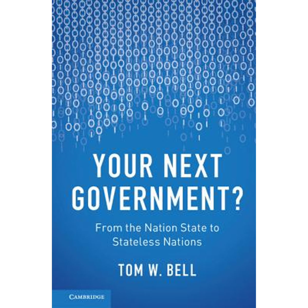 Your Next Government?: From the Nation State to Stateless Nations (Paperback) J534