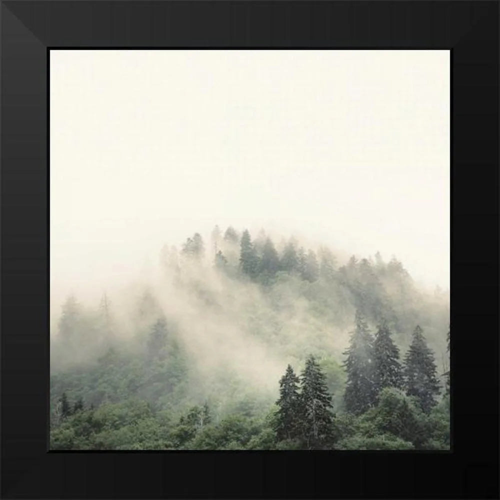 12x12 Black Framed Art Print C3768