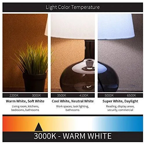 Compact Fluorescent Light Bulb L677390