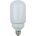 Compact Fluorescent Light Bulb L677390