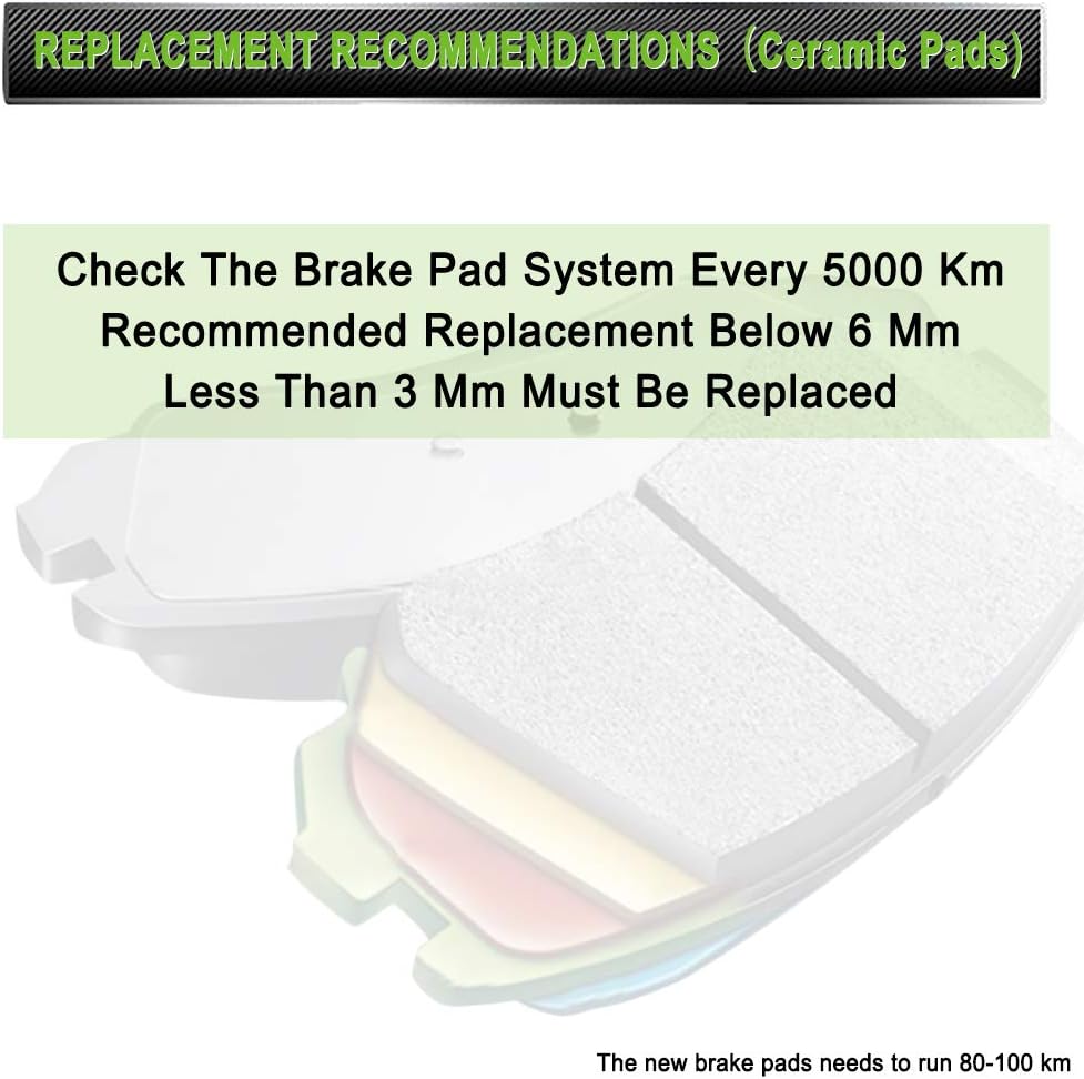 Brake Rotors and Ceramic Brake Pads Kit T204