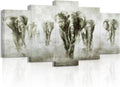 5 Panel Black and White Grey Elephant Canvas Wall Art G109420