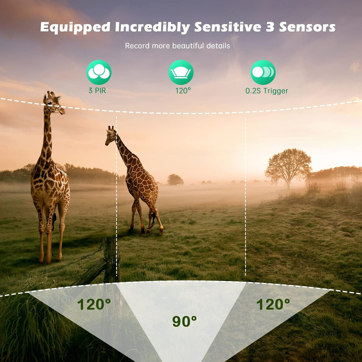 4K 24MP WiFi Trail Camera with Night Vision, IP66 Waterproof, Pack of 2 N340