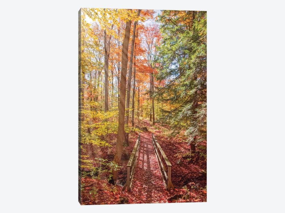 Canvas Wall Decor Prints U569550