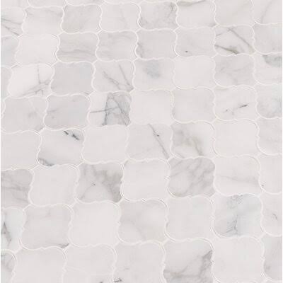 Marble Mosaic Tile R893811