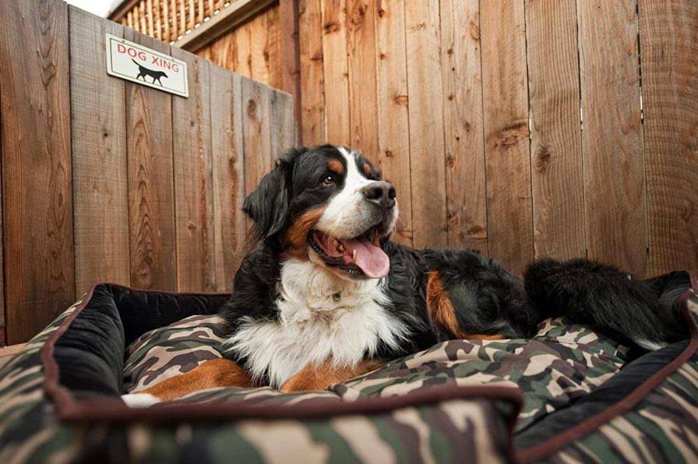 Camouflage Lounge Dog Bed - Green - Large Q388