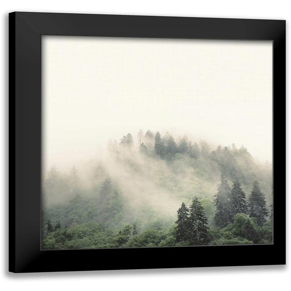 12x12 Black Framed Art Print C3768
