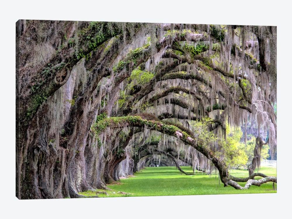 Canvas Artwork Print F768