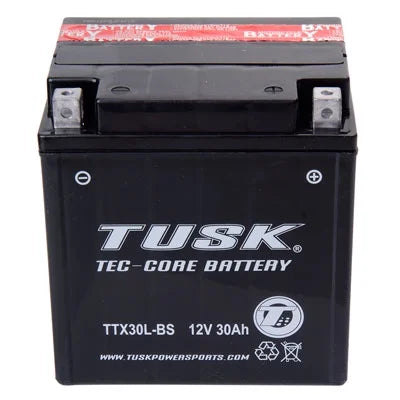 TTX30LBS Maintenance-Free Battery B3996