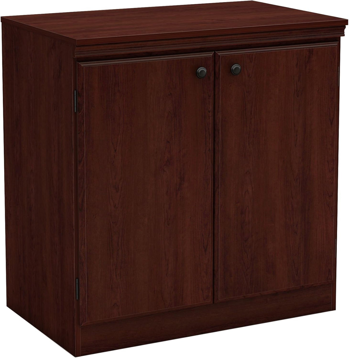 Small 2-Door Storage Cabinet with Adjustable Shelf B42744