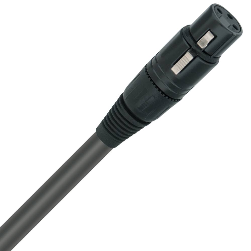 2 XLR Females to 2 XLR Males Balanced Interconnect Cable J929