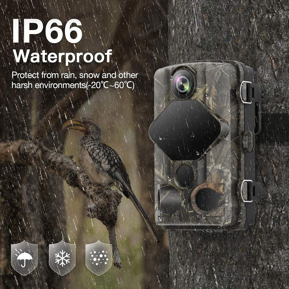 4K 24MP WiFi Trail Camera with Night Vision, IP66 Waterproof, Pack of 2 N340
