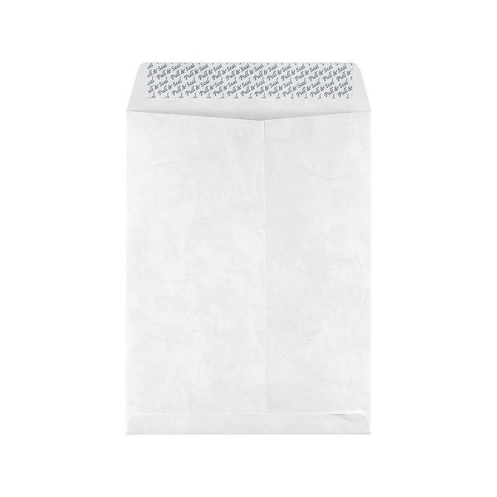 EasyClose Catalog Envelopes, White, 100/Box E84955