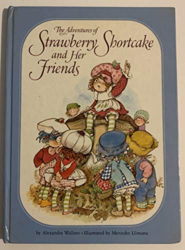 Strawberry Shortcake Hardcover Q627