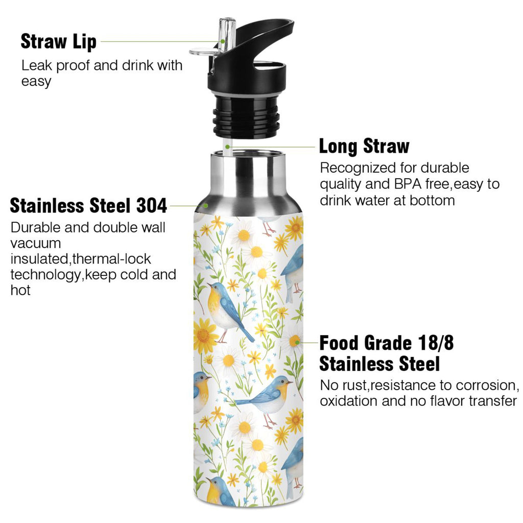 20 oz Insulated Stainless Steel Water Bottle with Straw Lid R518