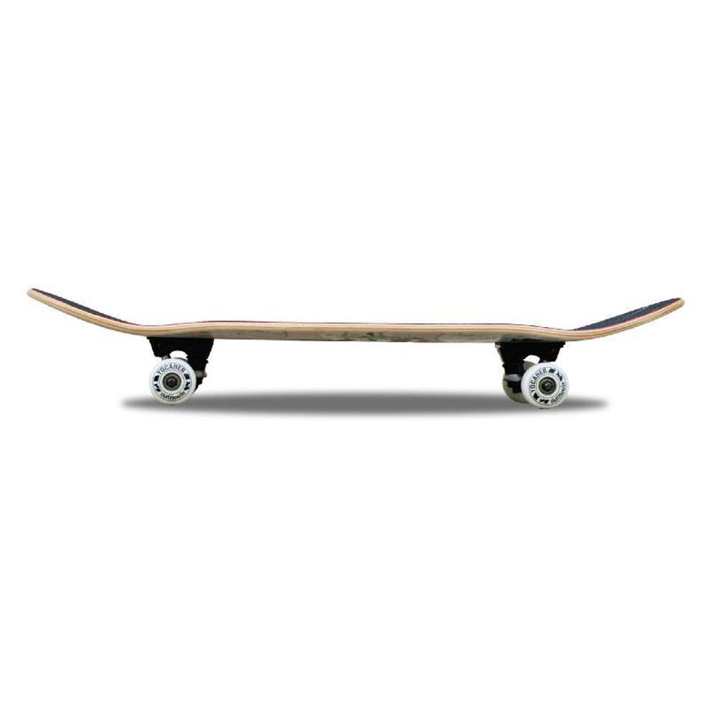 Complete Skateboard 7.75 inch B1549