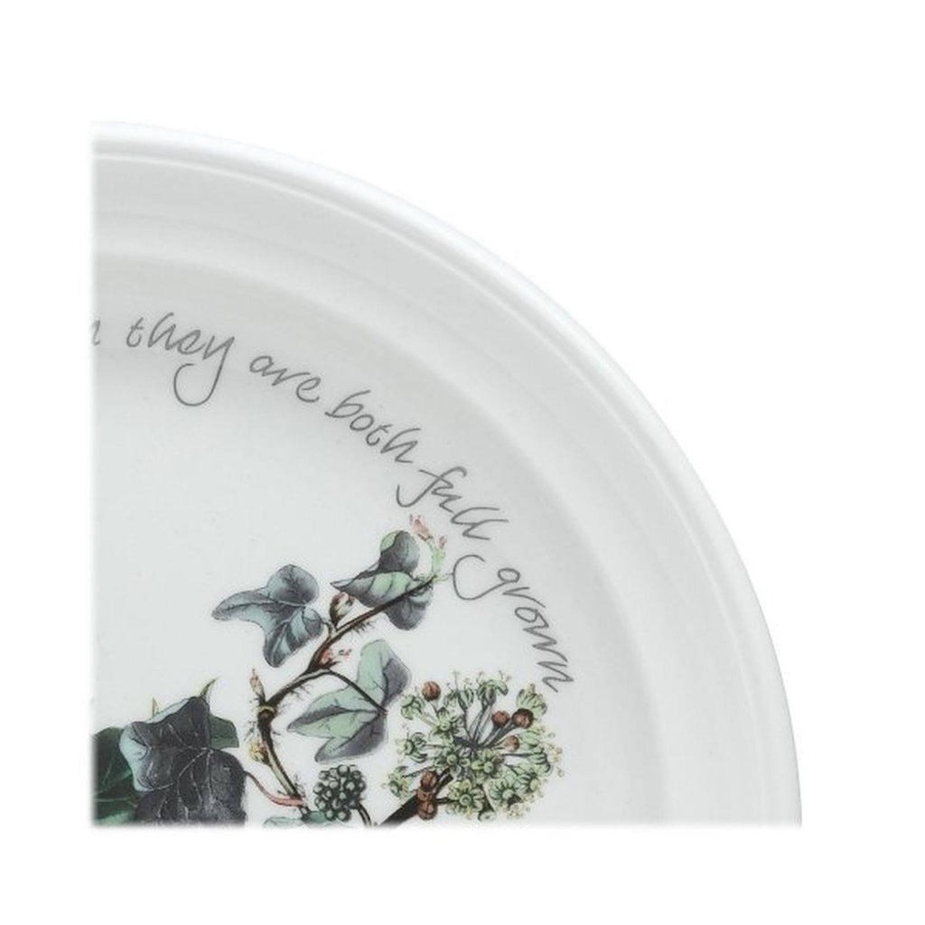 Salad Plate 20cm Set of 6 G870
