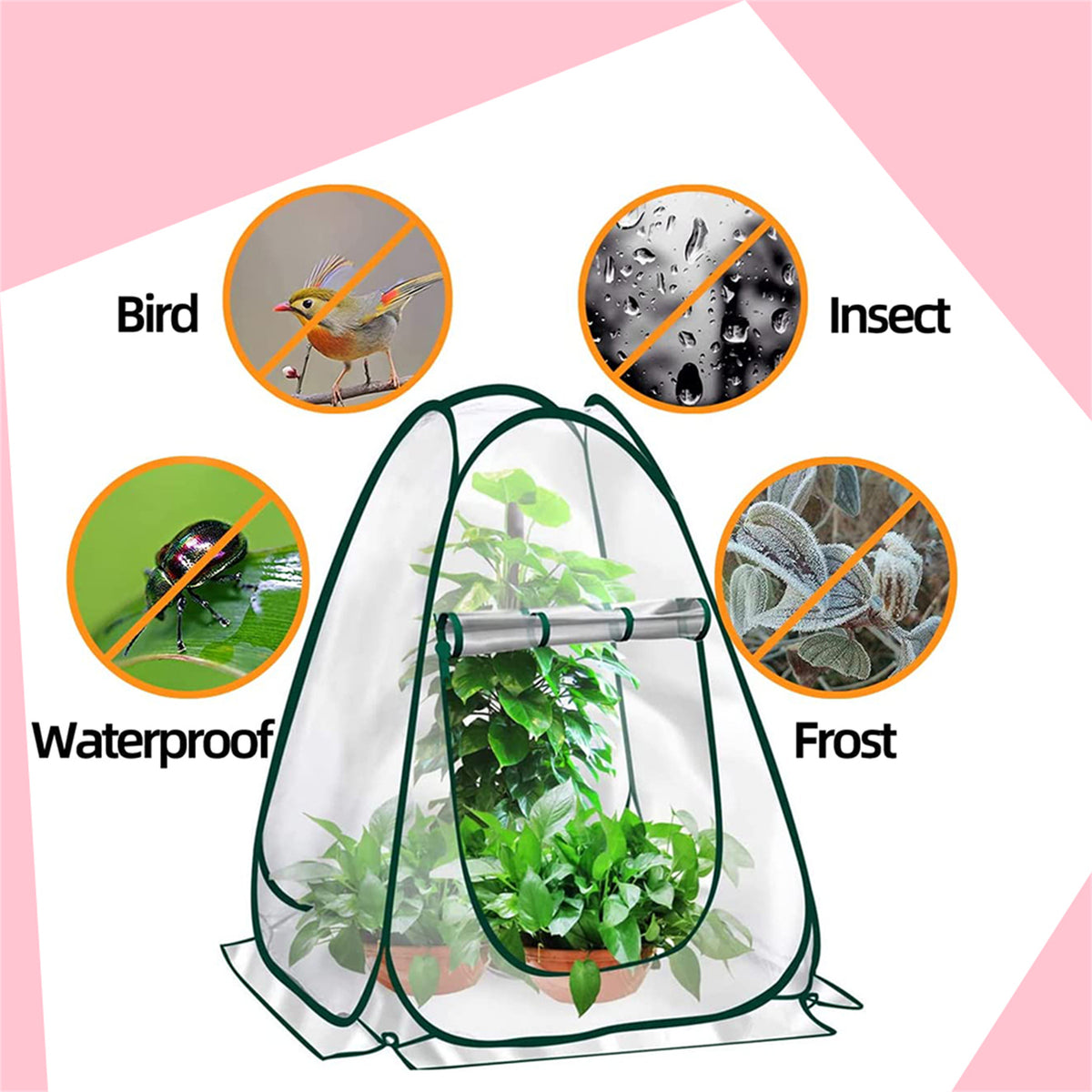 Mini Pop Up Greenhouse M823