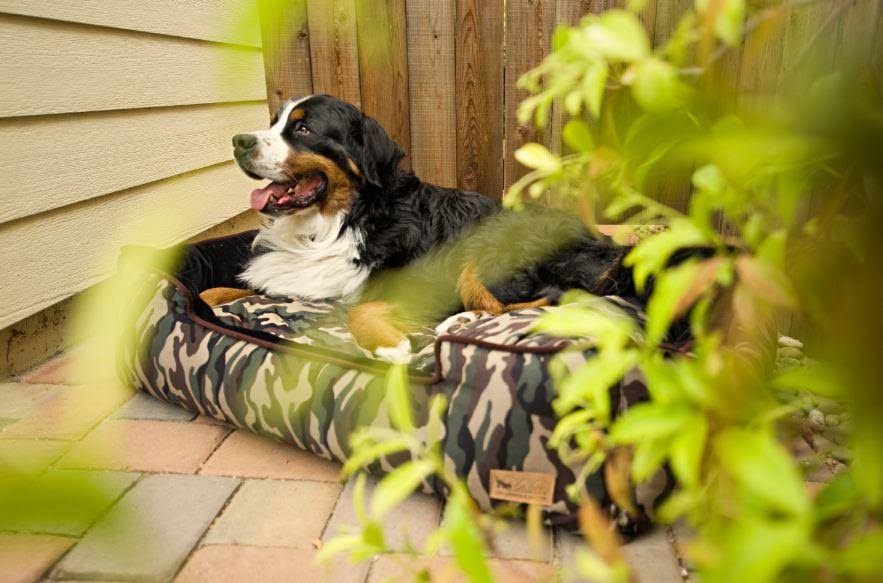 Camouflage Lounge Dog Bed - Green - Large Q388