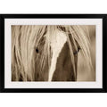 Black Frame Photographic Print C162
