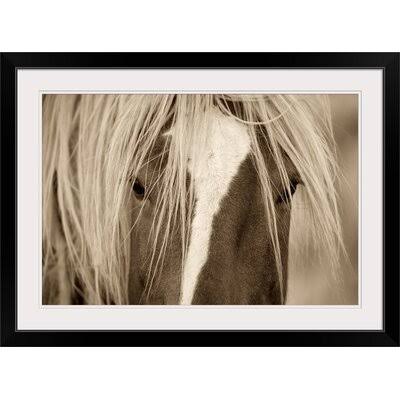 Black Frame Photographic Print C162